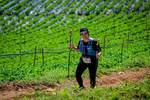 BIB: 
                            <button type="button" onclick="openModal(19164558)" class="btn btn-primary btn-sm float-right btn-popup" data-toggle="modal" data-target=".modal-high-quality">
                        <i class="fas fa-shopping-cart"></i> Add to Cart
                    </button>
                                            <button type="button" onclick="isThisMe(19164558, true)" class="btn btn-success btn-sm float-right btn-popup btn-isme hidden" data-toggle="tooltip" data-placement="bottom" title="นี่คือรูปของคุณใช่ไหม คลิกที่นี่เพื่อเอาเข้าอัลบั้ม">
                        <i class="fas fa-plus"></i> Add to album
                    </button>
                    <button type="button" onclick="isThisMe(19164558, false)" class="btn btn-warning btn-sm float-right btn-popup btn-isnotme hidden">
                        <i class="fas fa-ban"></i> Remove from album
                    </button>